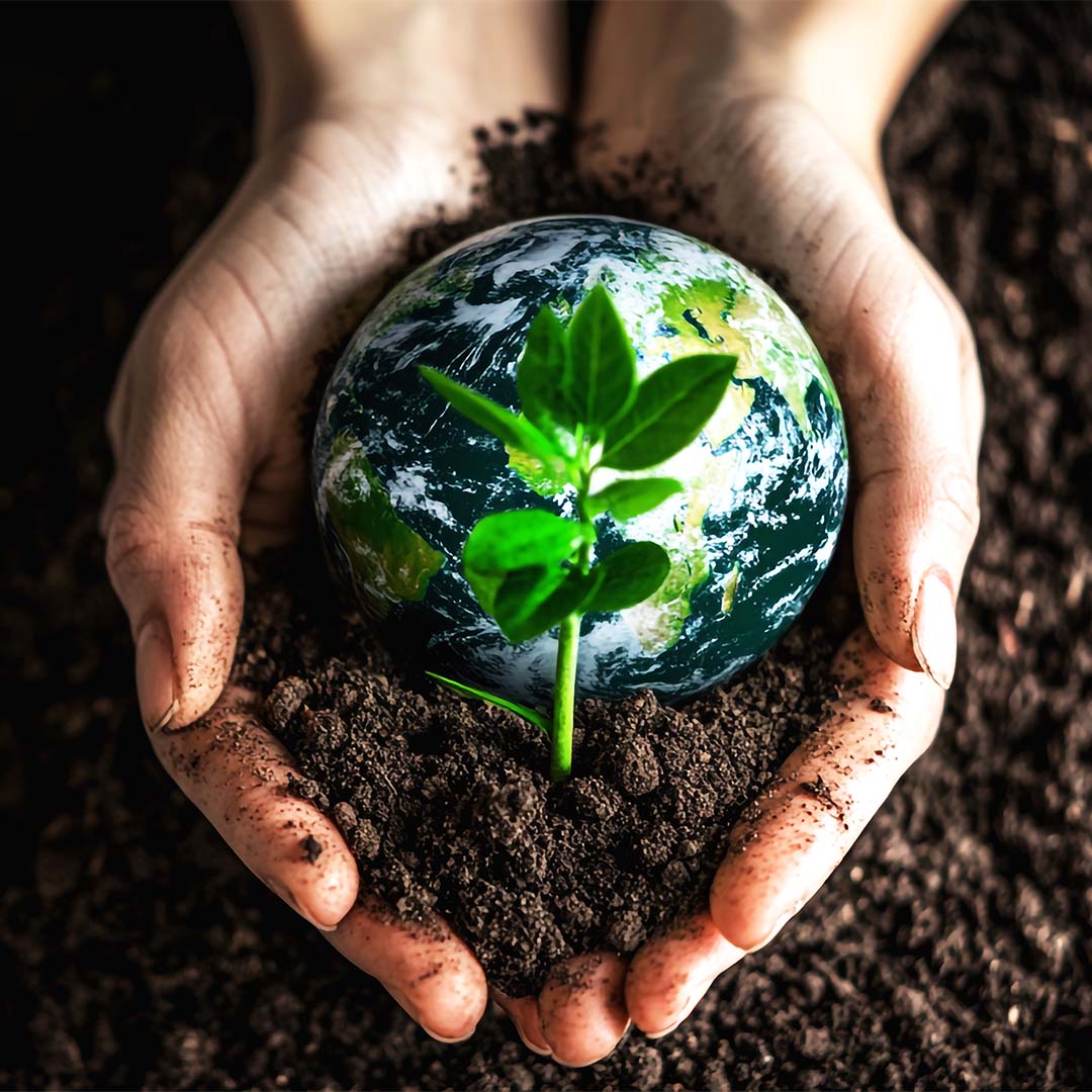 🌱 Vrikshandolan Foundation: Cultivating a Greener, Healthier Tomorrow